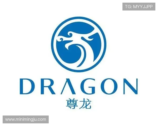 尊龙D88旗舰：融合先进技术与奢华设计的完美结合