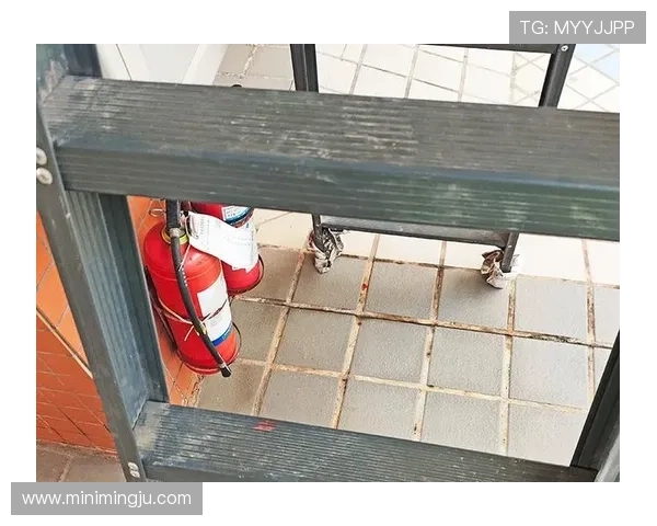 凯发k8旗舰厅AG平台安全保障措施详解，保障玩家权益至关重要