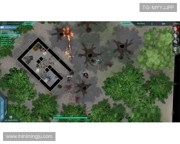 凯发官网真人游戏赢率分析与玩家实用策略建议