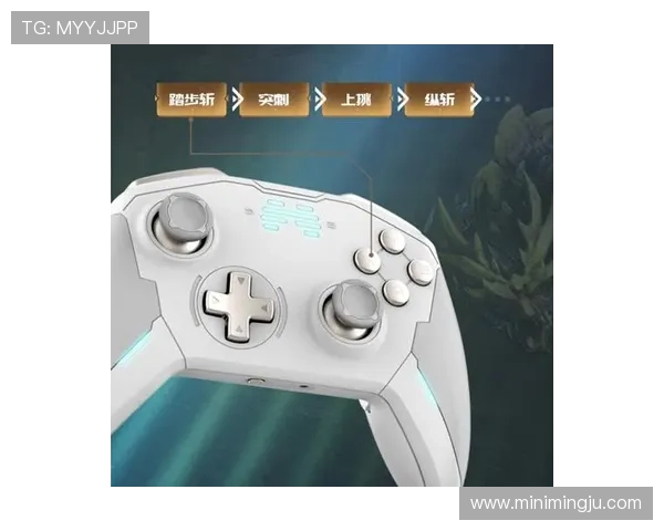 K8电竞登陆注册流程详细步骤指导帮助新手快速完成账号注册