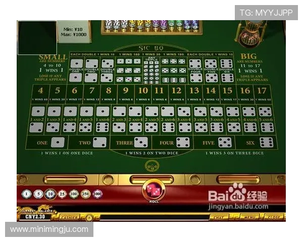 全面解析血战骰宝的玩法规则与实用技巧助你成为游戏高手